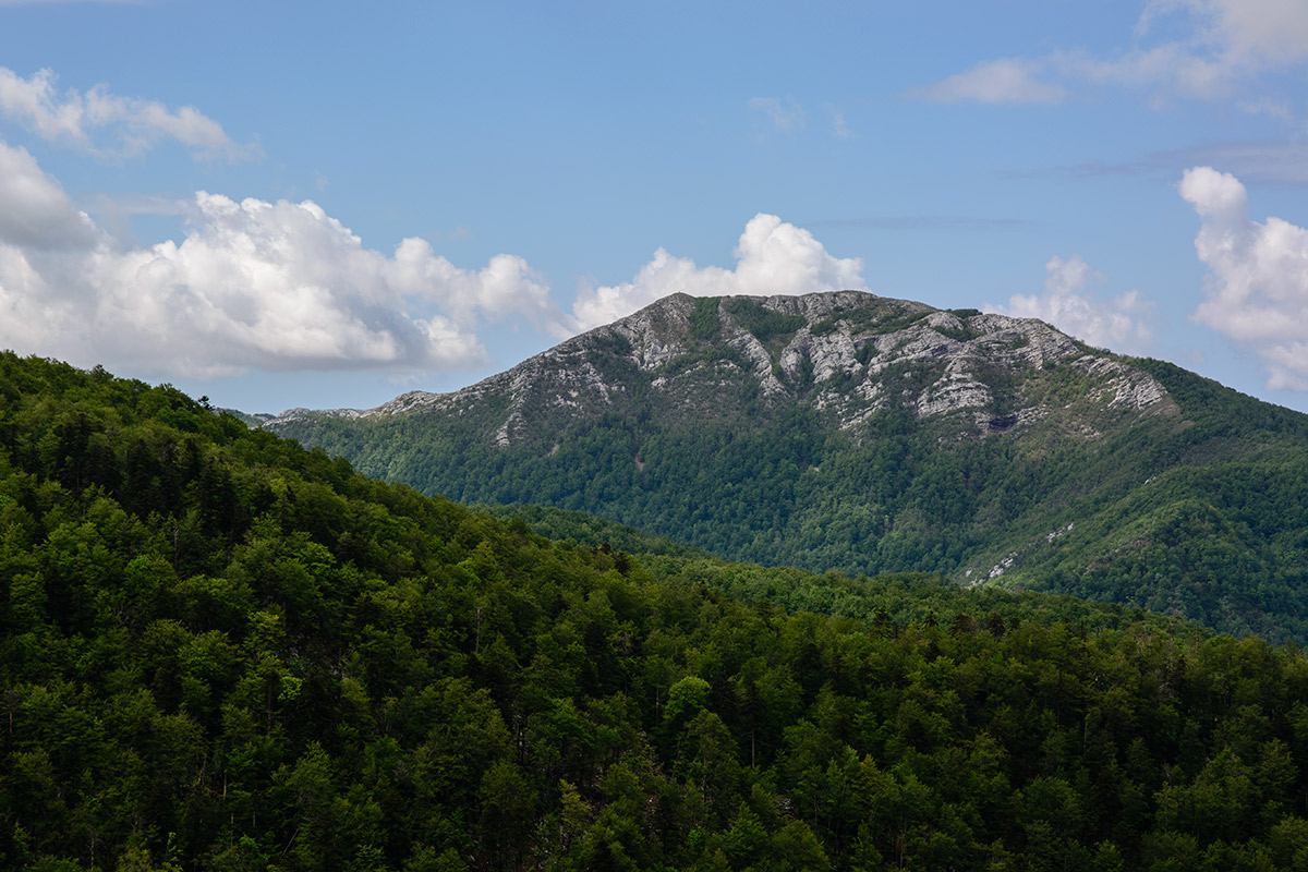 Veliki Sadikov…